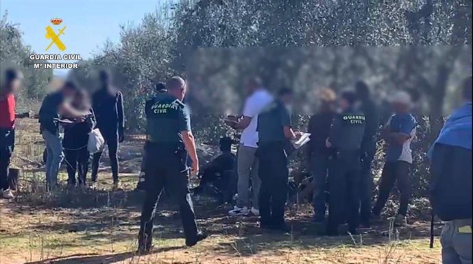 Detenido el cabecilla de una red que explotaba a 18 inmigrantes en El Real de La Jara