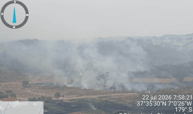 El Plan Infoca eleva a emergencia el incendio de Huelva con 120 efectivos