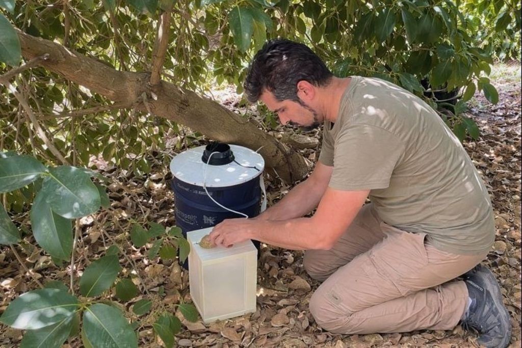 El Ayuntamiento confirma la ausencia del Virus del Nilo tras analizar más de 3.500 mosquitos