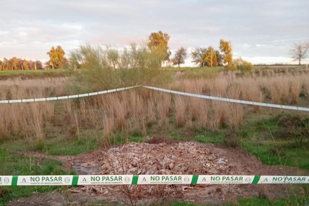 La Policía investiga la aparición de aves muertas en La Boticaria de Alcalá