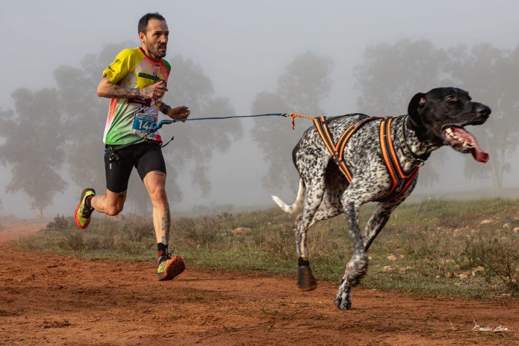 Alcalá de Guadaíra acogerá la Copa de España de Mushing este fin de semana