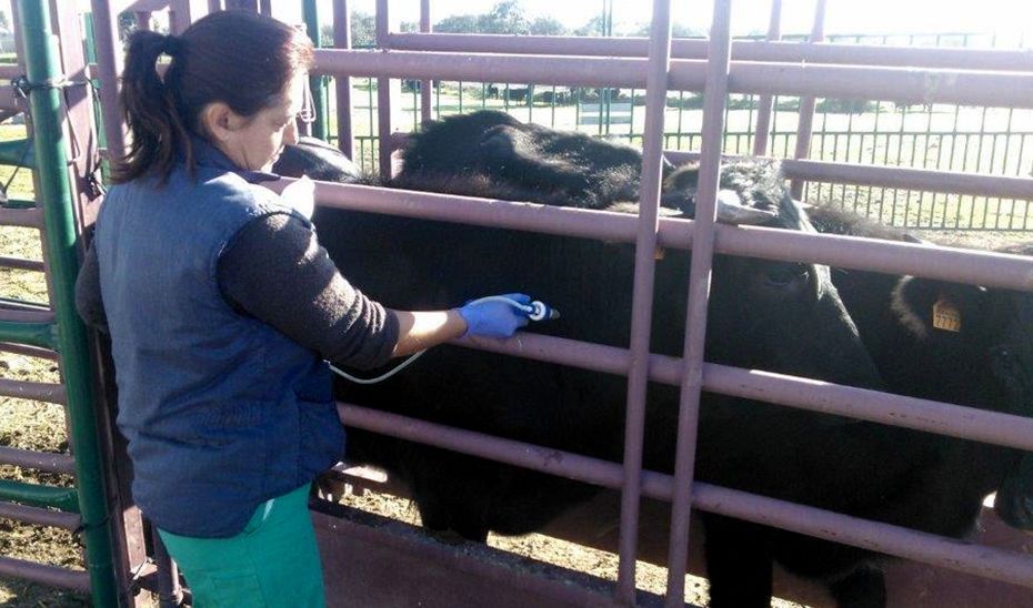 La Junta destina 6,8 millones para sanidad ganadera en Andalucía